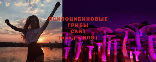 прущие грибы Коряжма