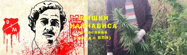 прущие грибы Коряжма