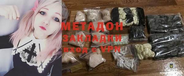 прущие грибы Коряжма