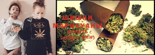 прущие грибы Коряжма