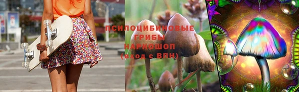 прущие грибы Коряжма