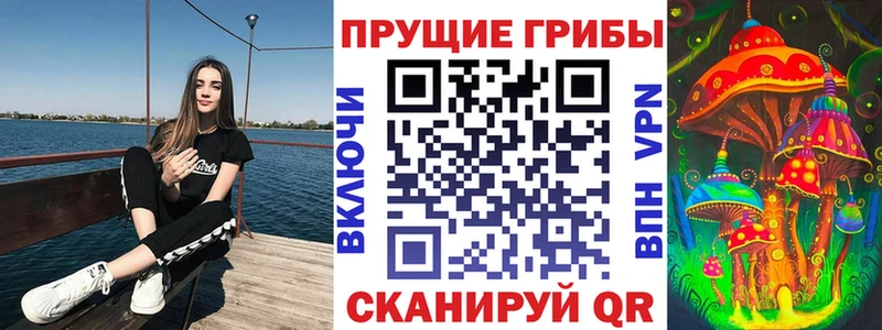 Псилоцибиновые грибы Psilocybine cubensis  Артём 